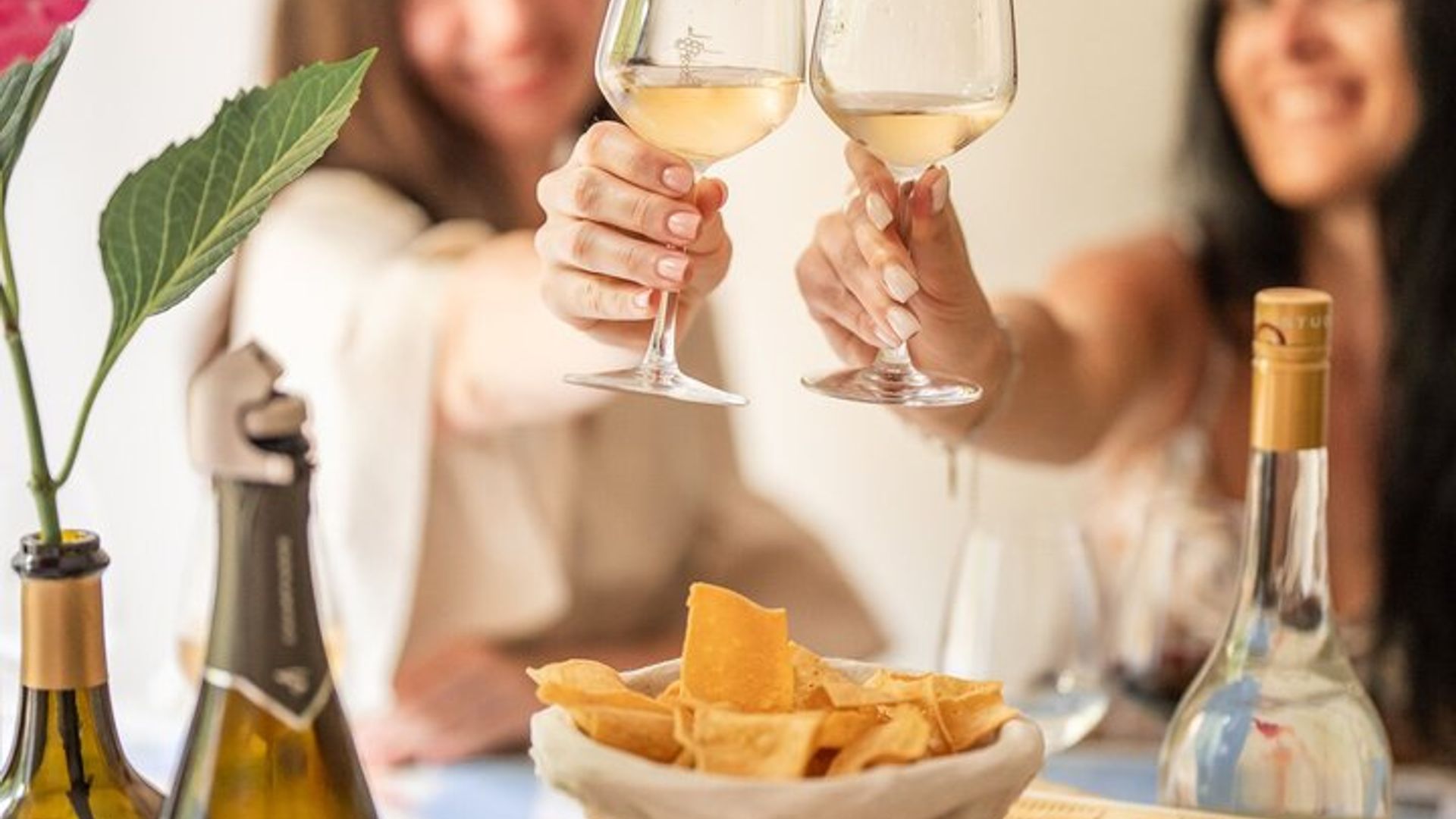 Nizza Stadtzentrum Kleine Gruppe Französische Weinprobe