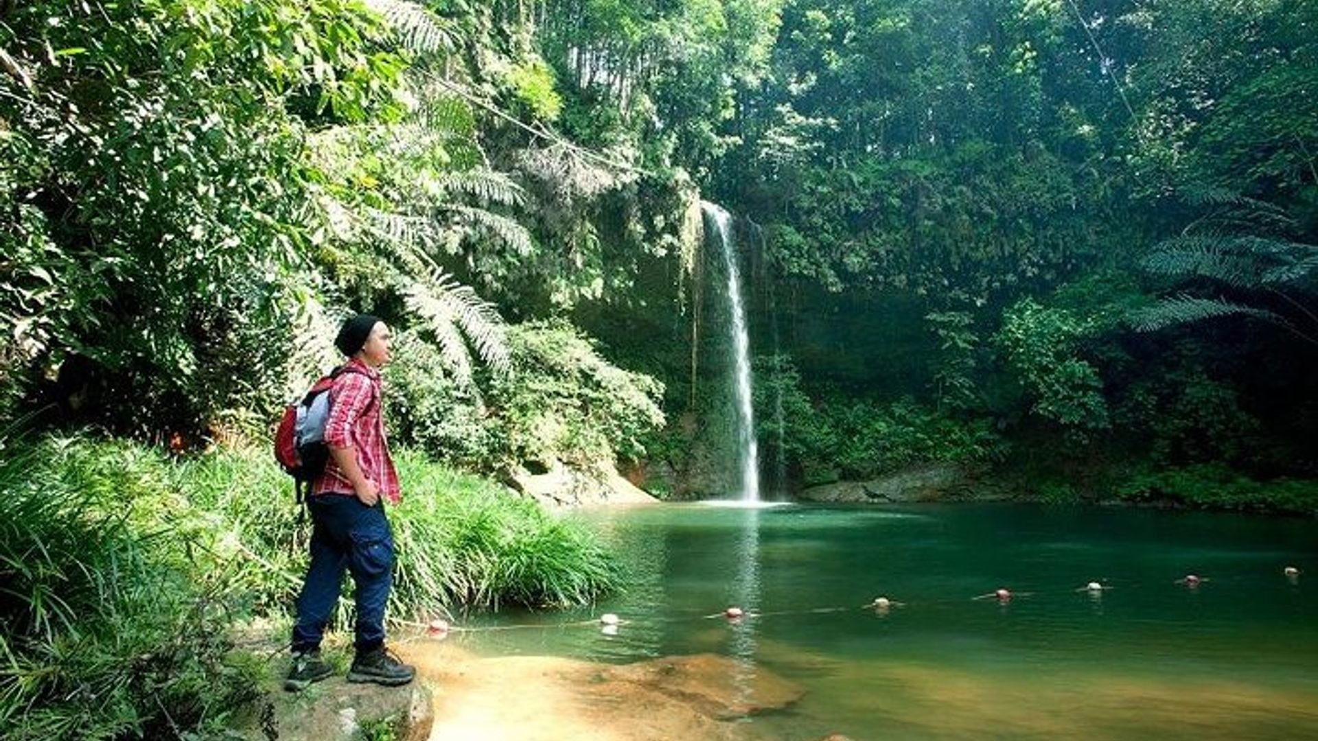 Half-Day Lambir Hills National Park Tour from Miri