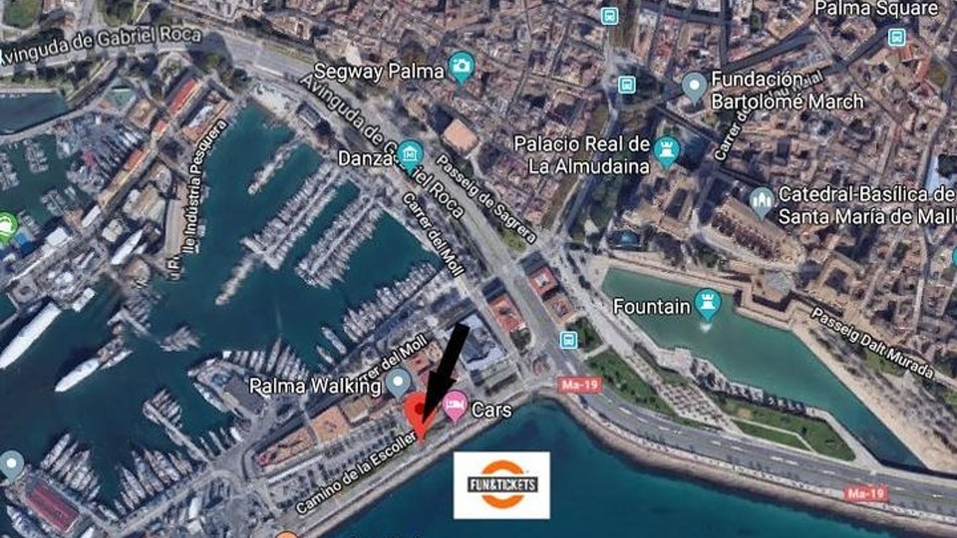 Palma de Mallorca Guided Tour with Hotel Pick up