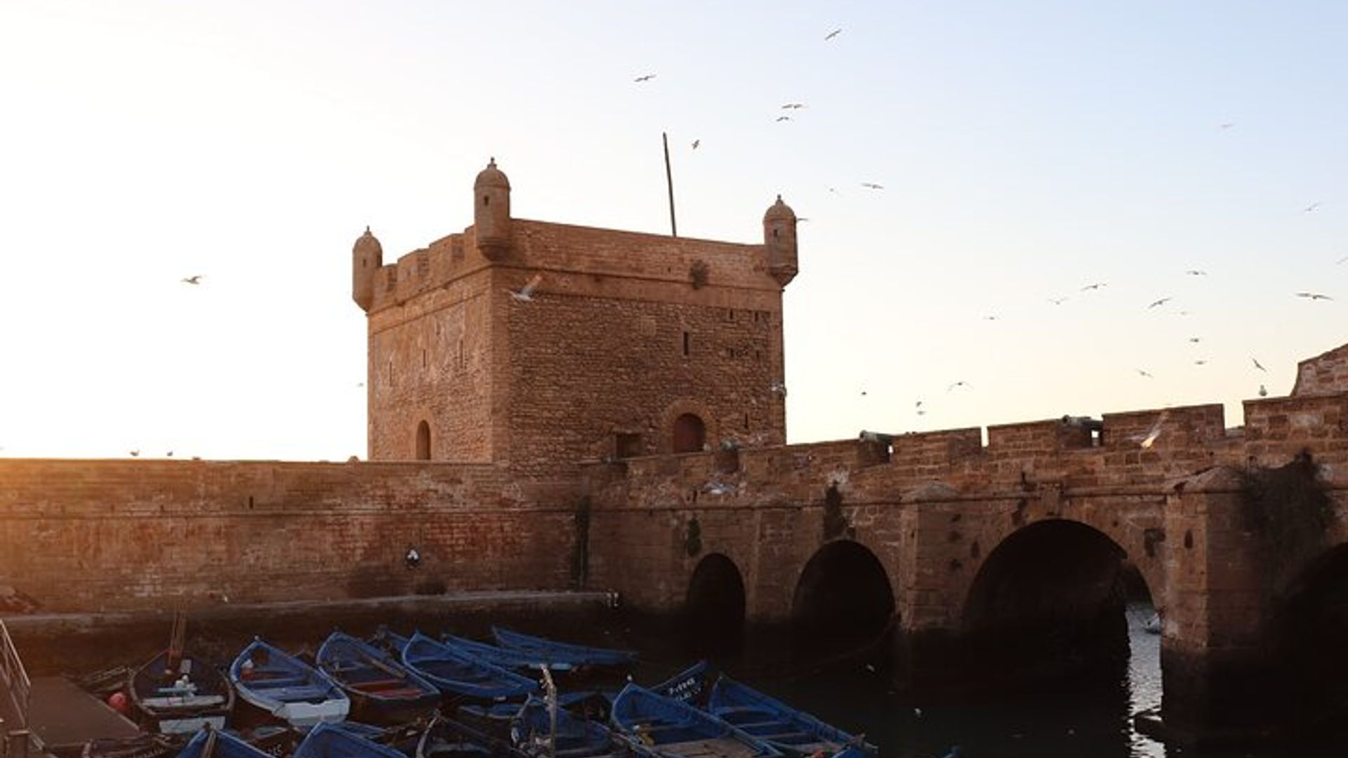Marrakech To Essaouira Small Group Day Tour