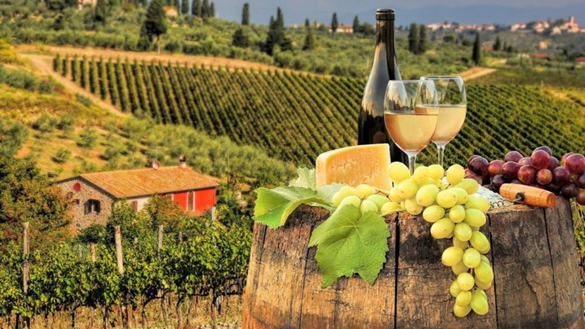 Discovery Tuscany in One Day and Wine Tasting experience