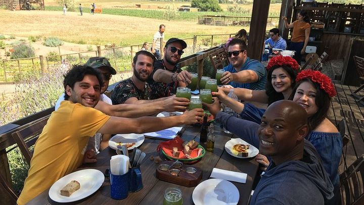 Guadalupe Valley Private Wine Tasting Tour from San Diego
