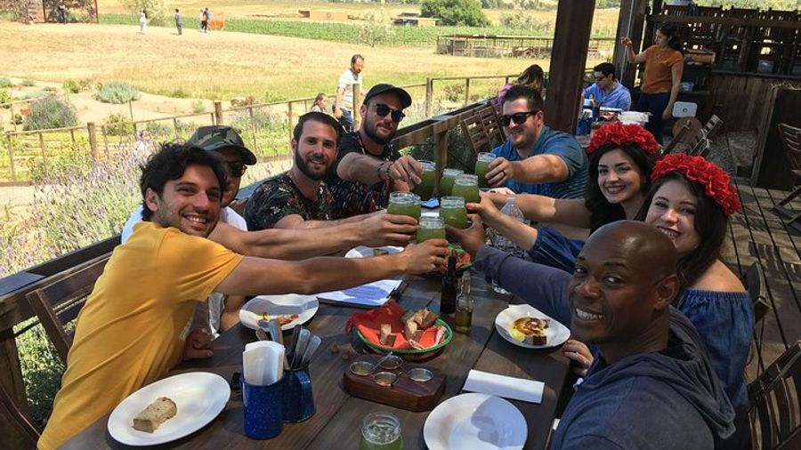 Guadalupe Valley Private Wine Tasting Tour from San Diego