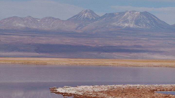 Private Tour to Cejar Lagoon, Ojos del Salar and Tebinquiche Lagoon