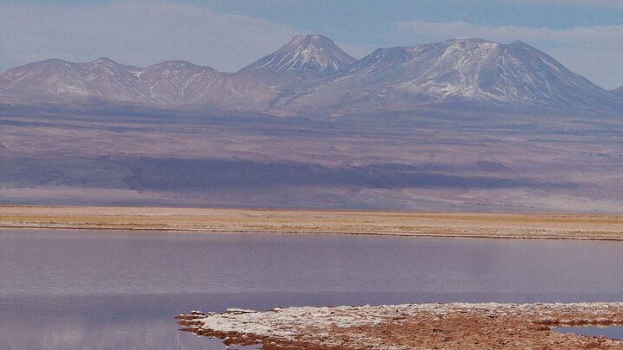 Private Tour to Cejar Lagoon, Ojos del Salar and Tebinquiche Lagoon