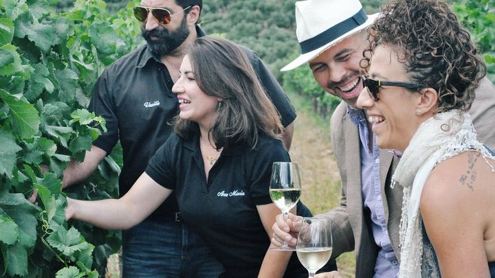 Semi-Private Wine Discovery Tour in Chania