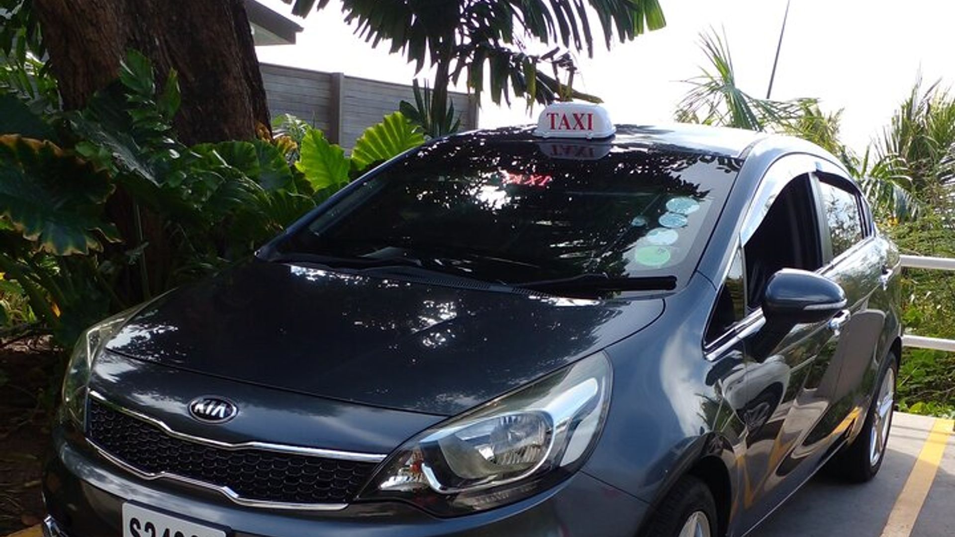 Private Transfer from Hotel, Port, and Airport of Seychelles