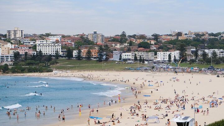 Sydney Combo: Sightseeing to Bondi & Harbour Cruise