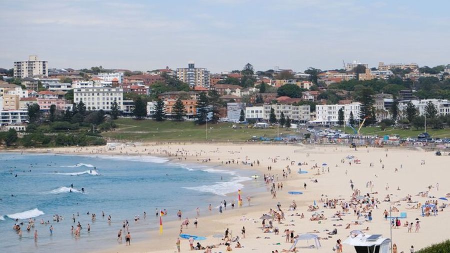 Sydney Combo: Sightseeing to Bondi & Harbour Cruise