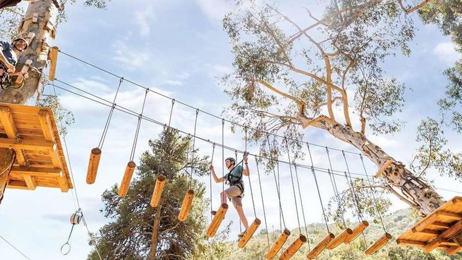 Catalina Island Aerial Adventure
