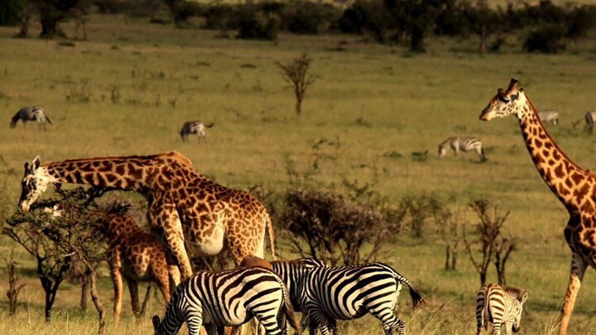 Garden Route 4-Day Private Tour From Cape Town