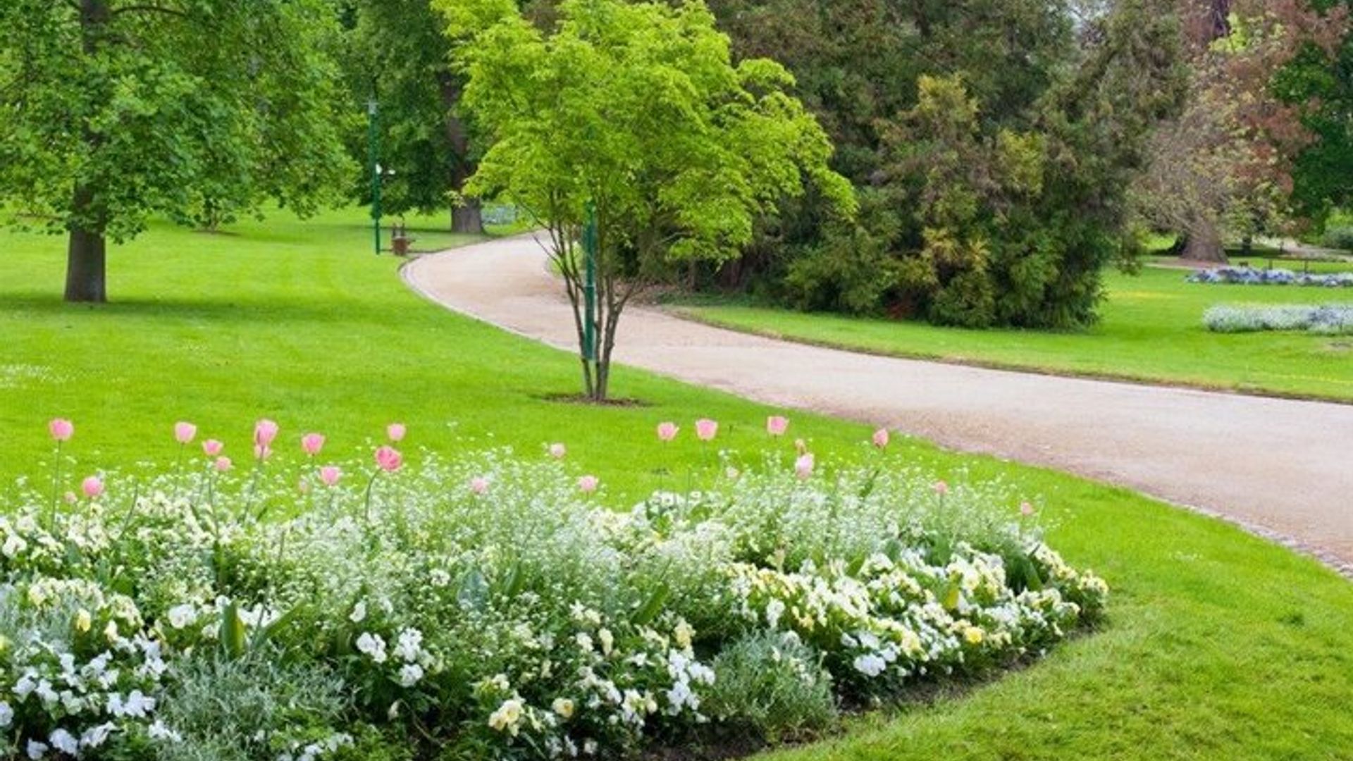 Nancy Stadtzentrum Audioguide: Geschichte, Geheimnisse und Aromen