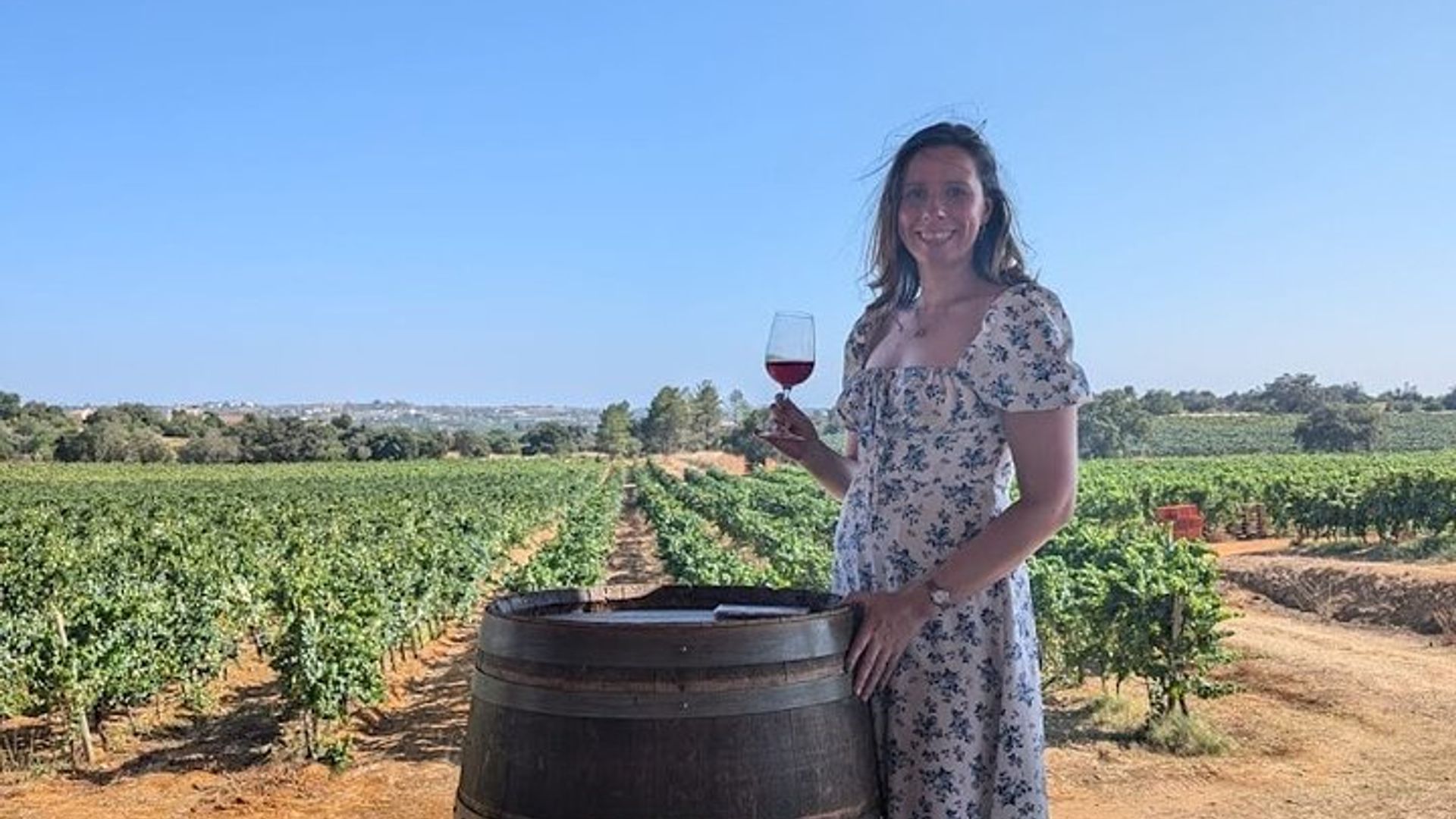Dégustation de vin d'Albufeira : Visite de la cave Boutique & Silves historiques