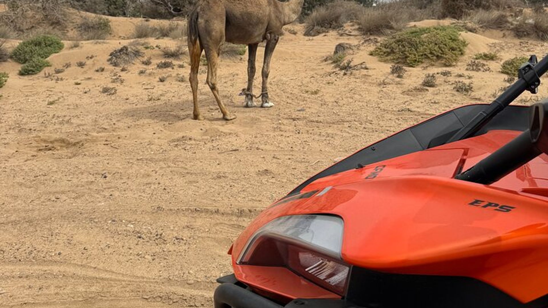 2-stündiges Buggy-Abenteuer in der Wüste von Essaouira (2 Plätze pro Buggy)
