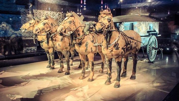 Private Half-Day Tour of Xi'an Terracotta Warriors
