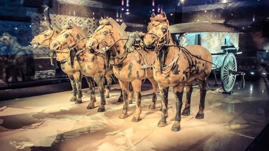 Private Half-Day Tour of Xi'an Terracotta Warriors