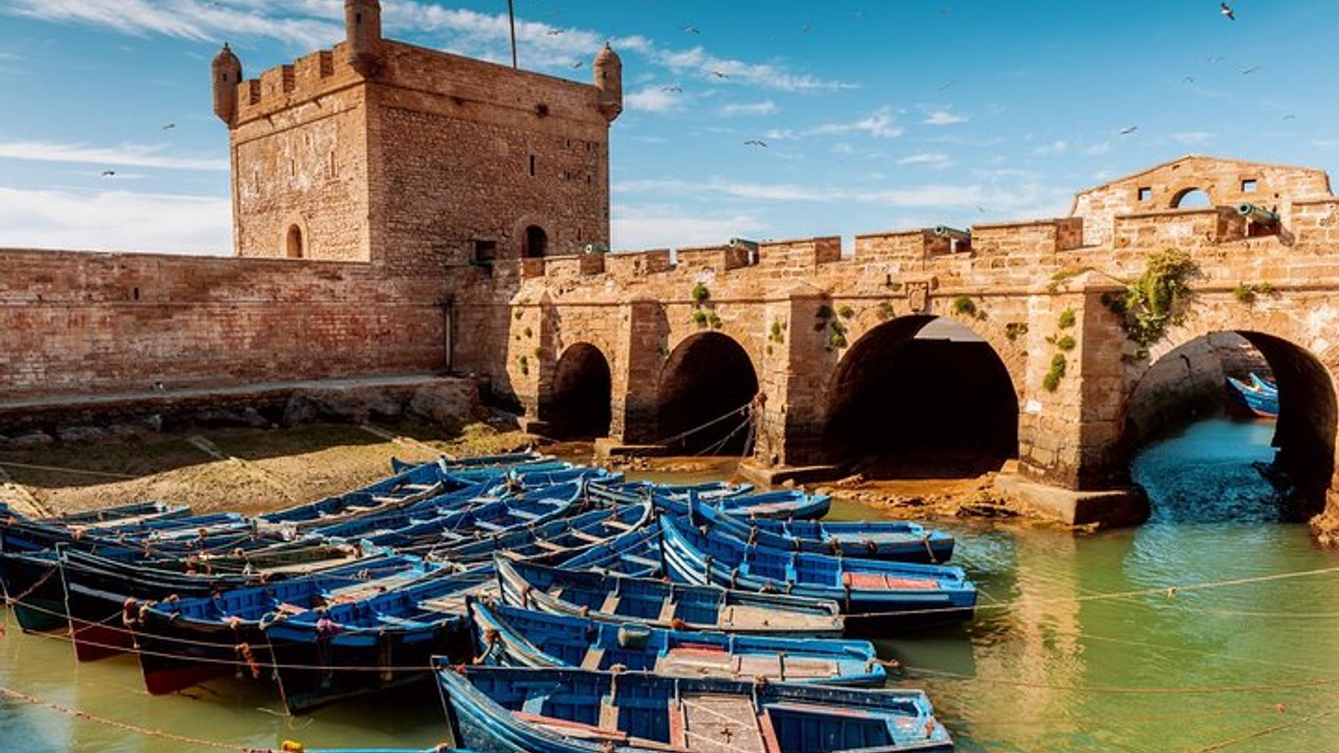 Petit Port De Pêche D'essaouira