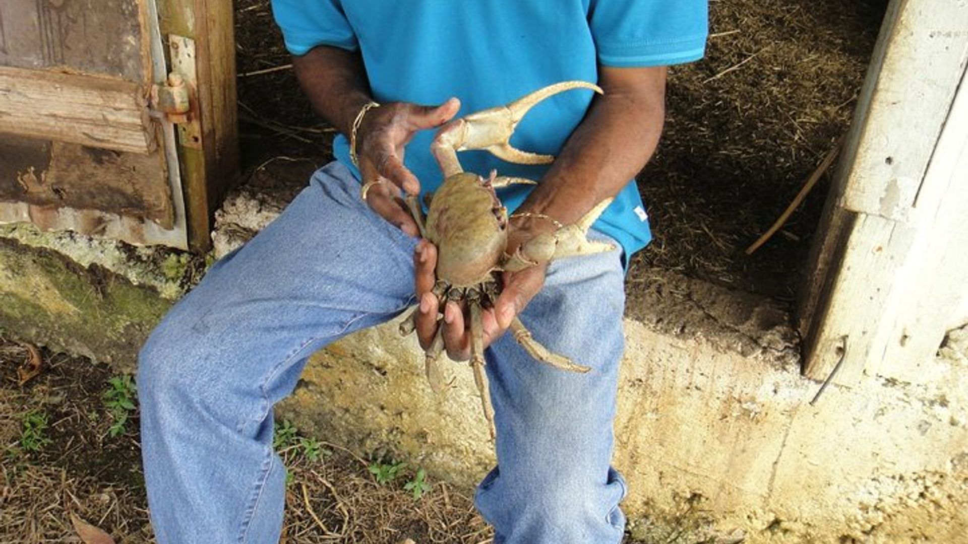South-Eastern Guadeloupe Half-Day Private Tour