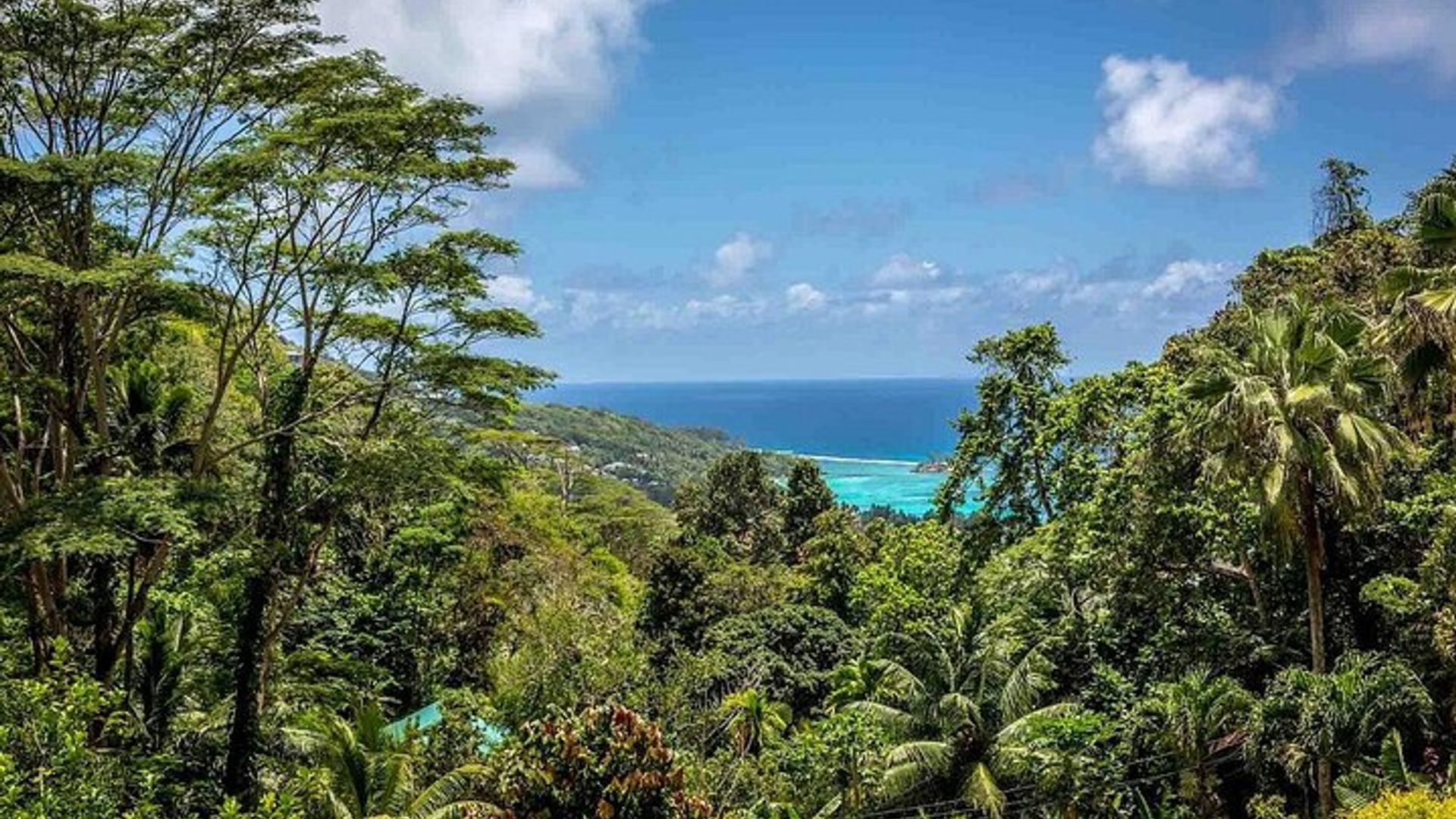 Private Mahe Island Half-Day Tour with Pick up