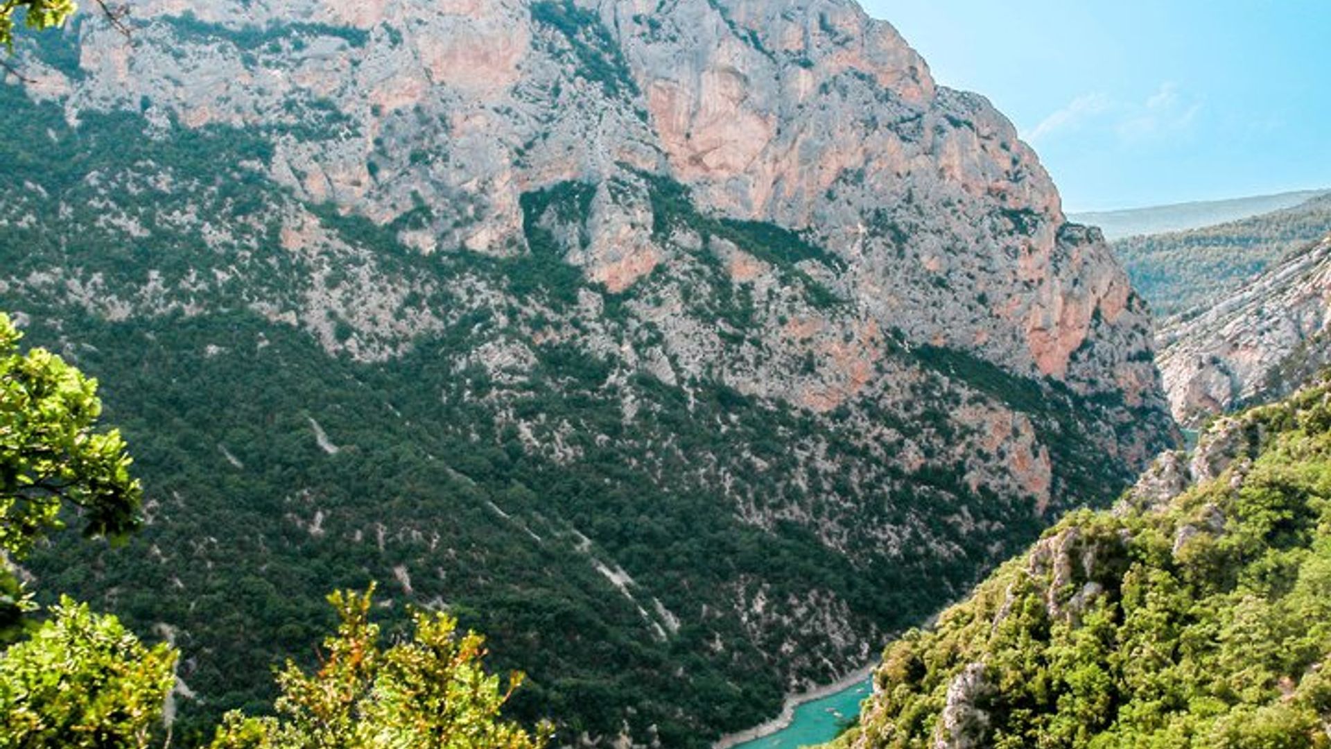 Excursion privée d'une journée aux champs de lavande de Provence