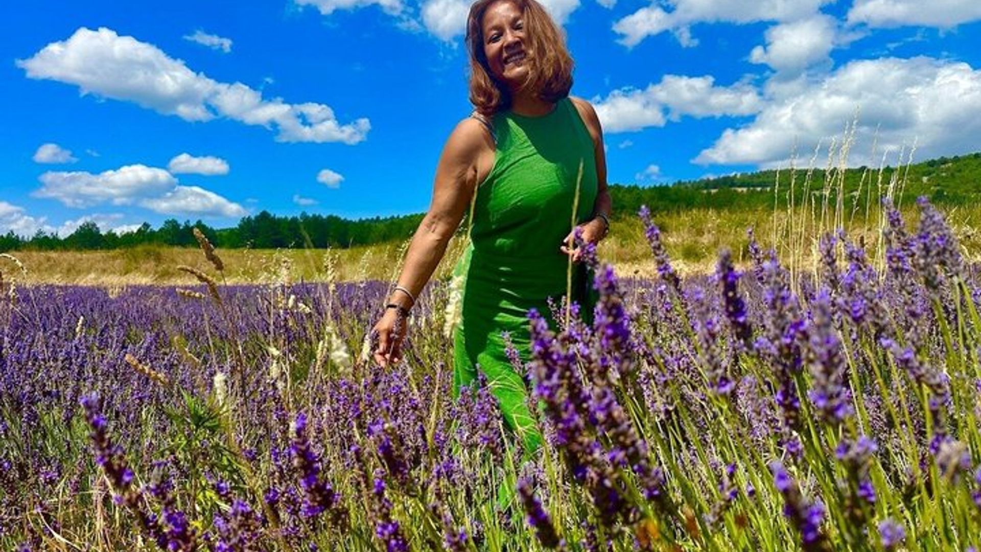 Provence Lavender Fields Tour from Aix-en-Provence