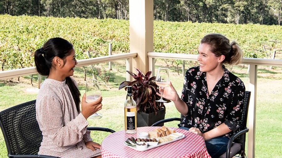 Wine Tasting and Cheese/Meat Platter at Tintilla Estate Winery