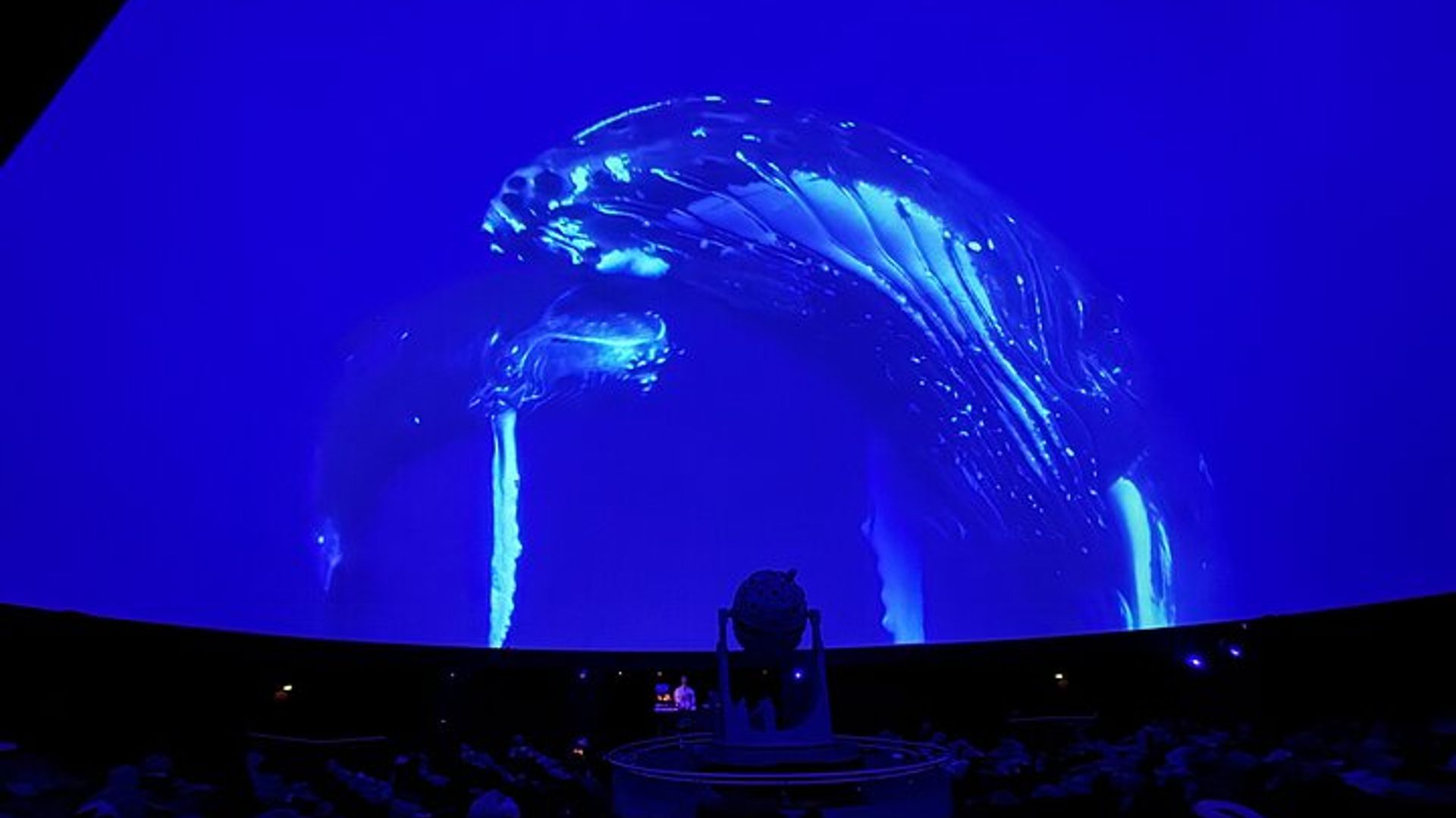 Sounds of the Ocean The Immersive Experience in Brussels