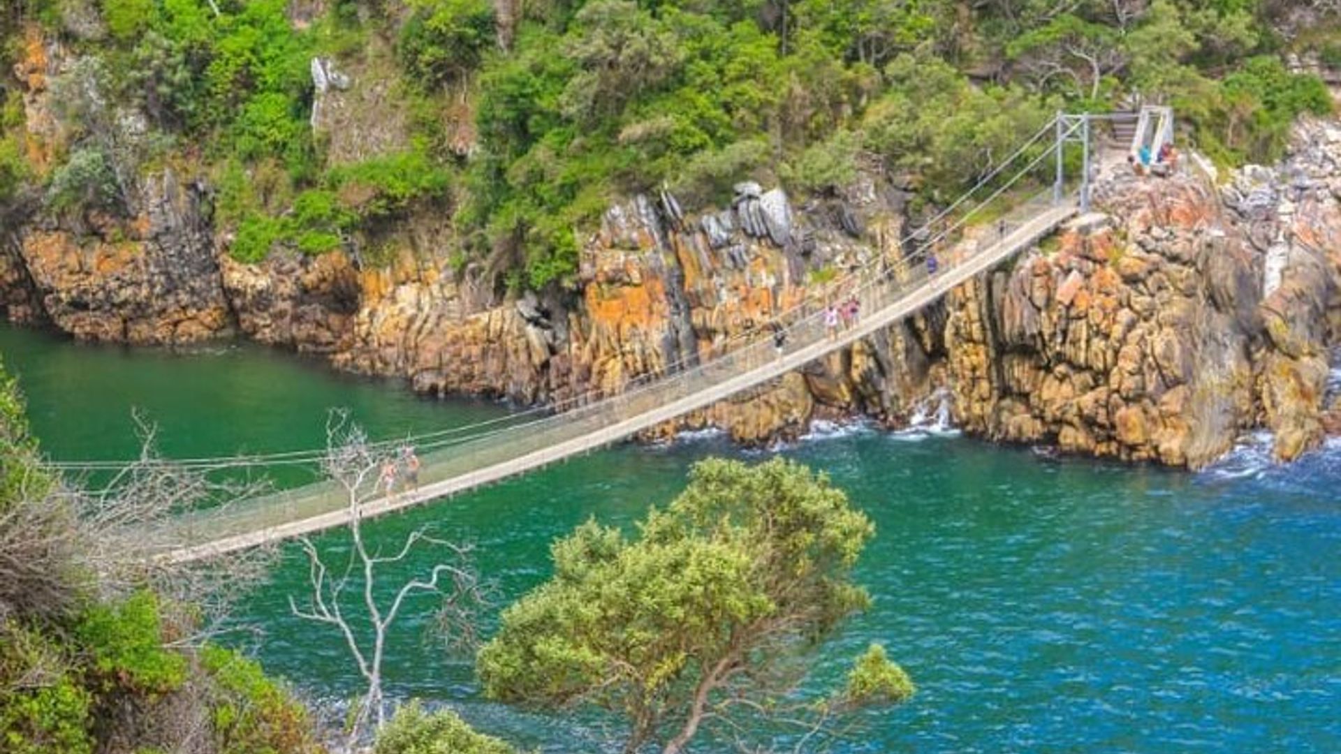 7-Day Garden Route Safari Adventure from Cape Town