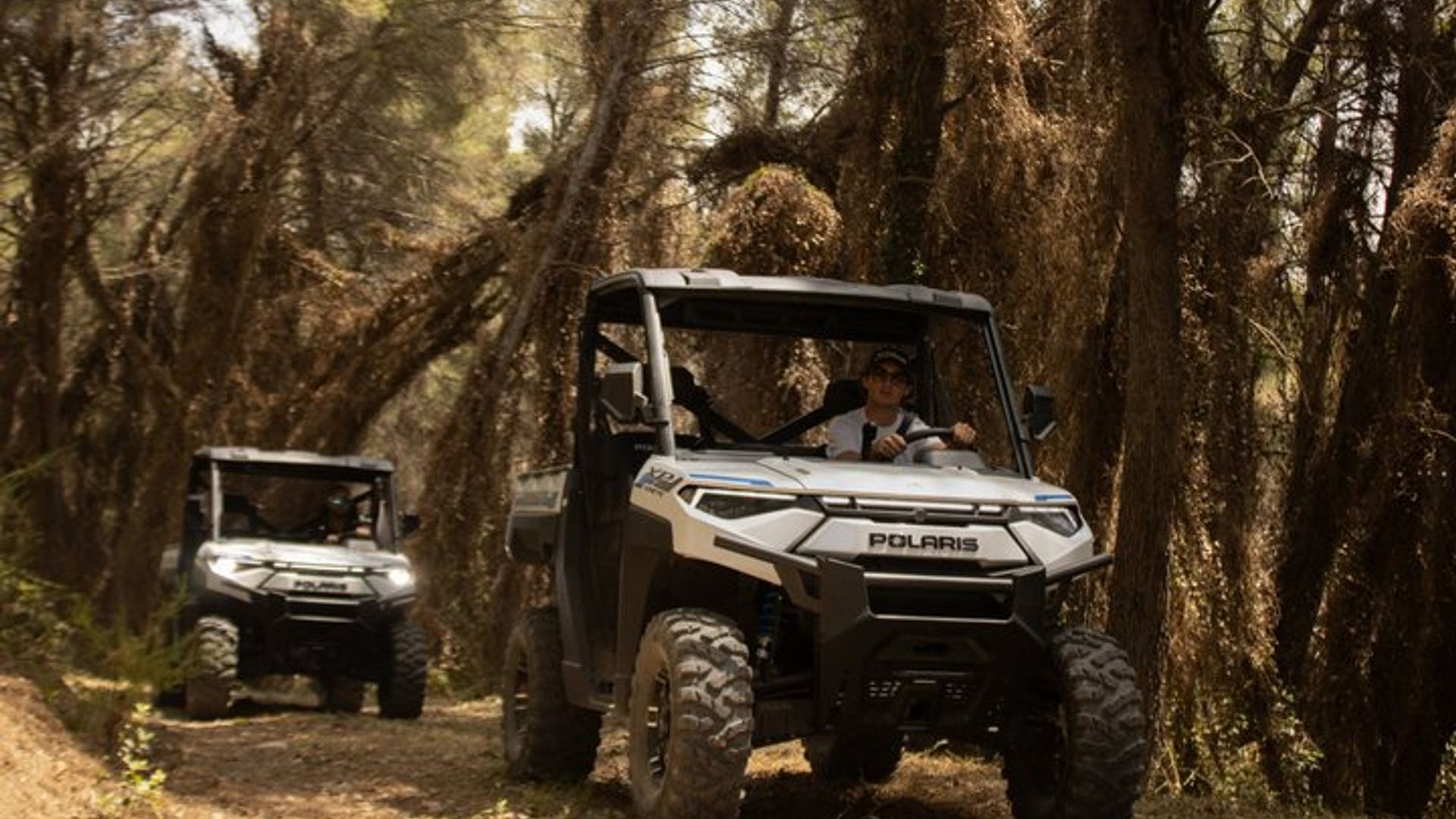 Cassis Domaine forest des janots and route des ridges en Buggy