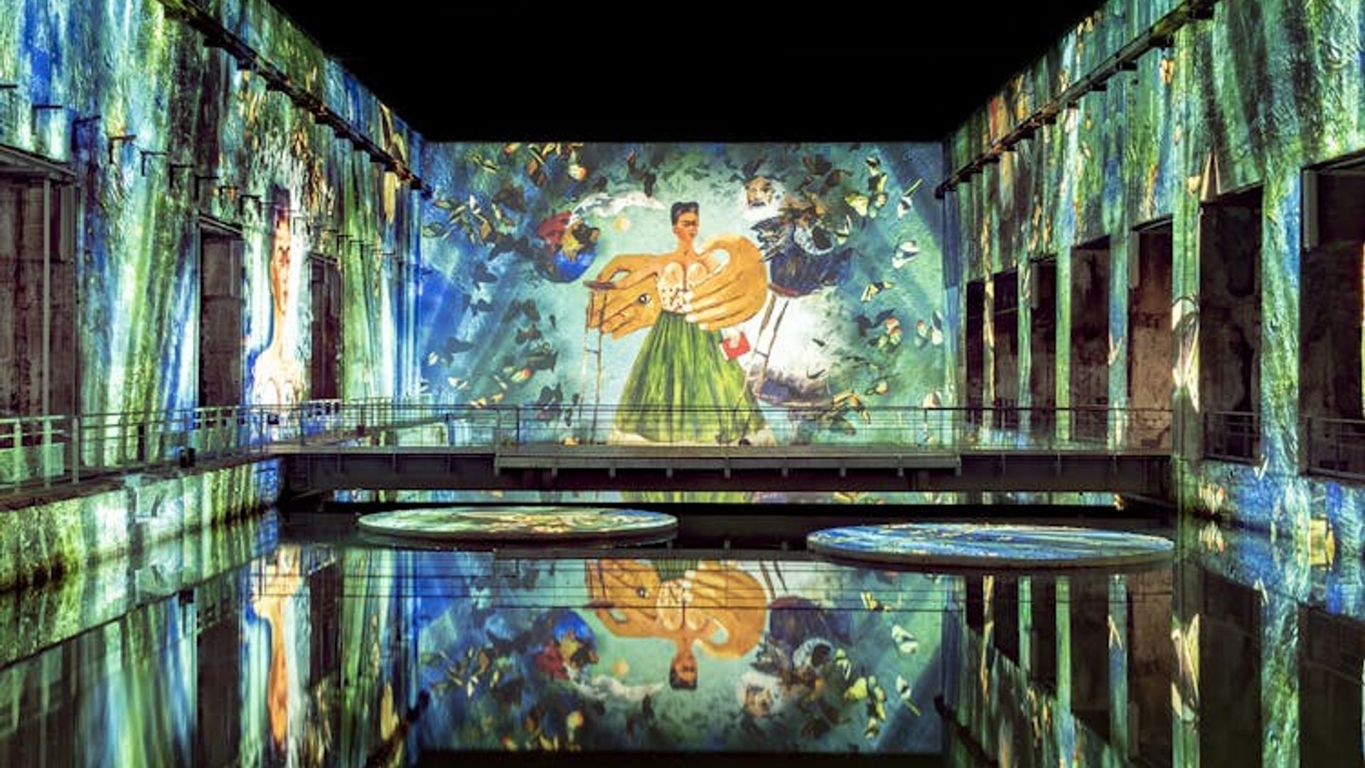 Matisse and Frida Kahlo immersive exhibition at Bassins des Lumières