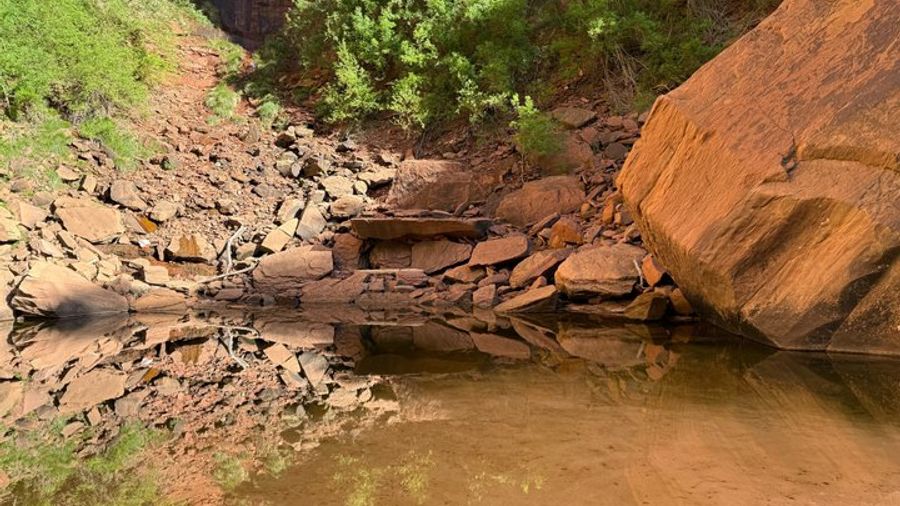Zion National Park Private Hike with Gourmet Picnic