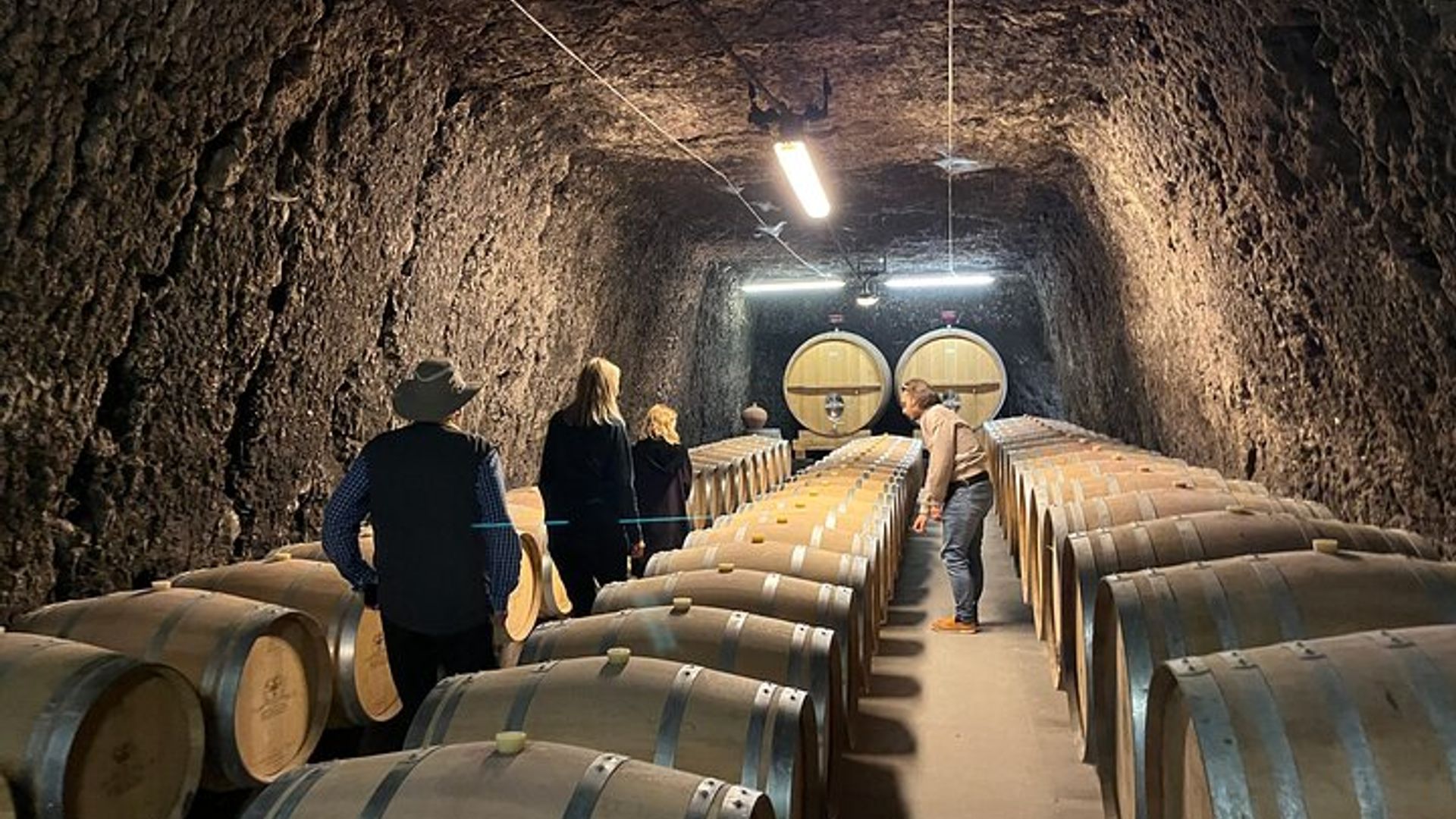 Excursion d'une journée de dégustation de vins et châteaux de la Loire au départ de Paris