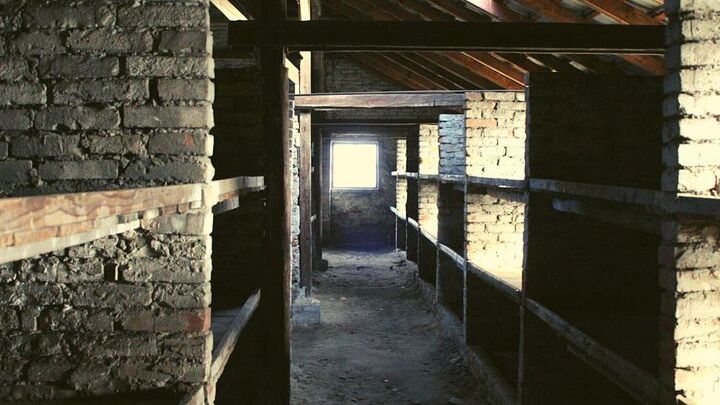 Auschwitz Day Tour from Warsaw by Private Car with Lunch