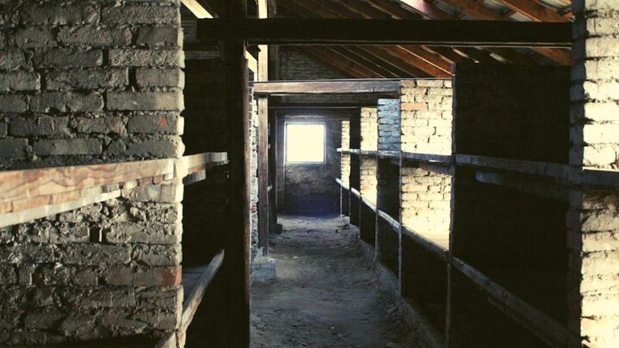 Auschwitz Day Tour from Warsaw by Private Car with Lunch
