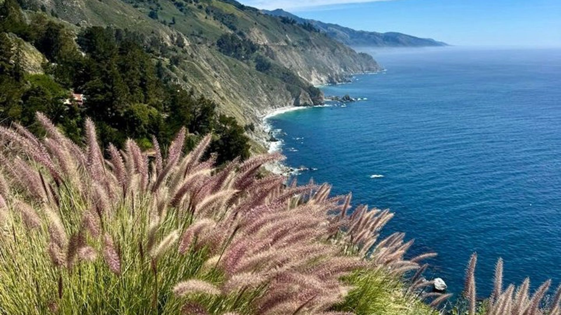 Big Sur McWay Falls opta por tour privado de 4 o 5 horas hasta 12 ppl