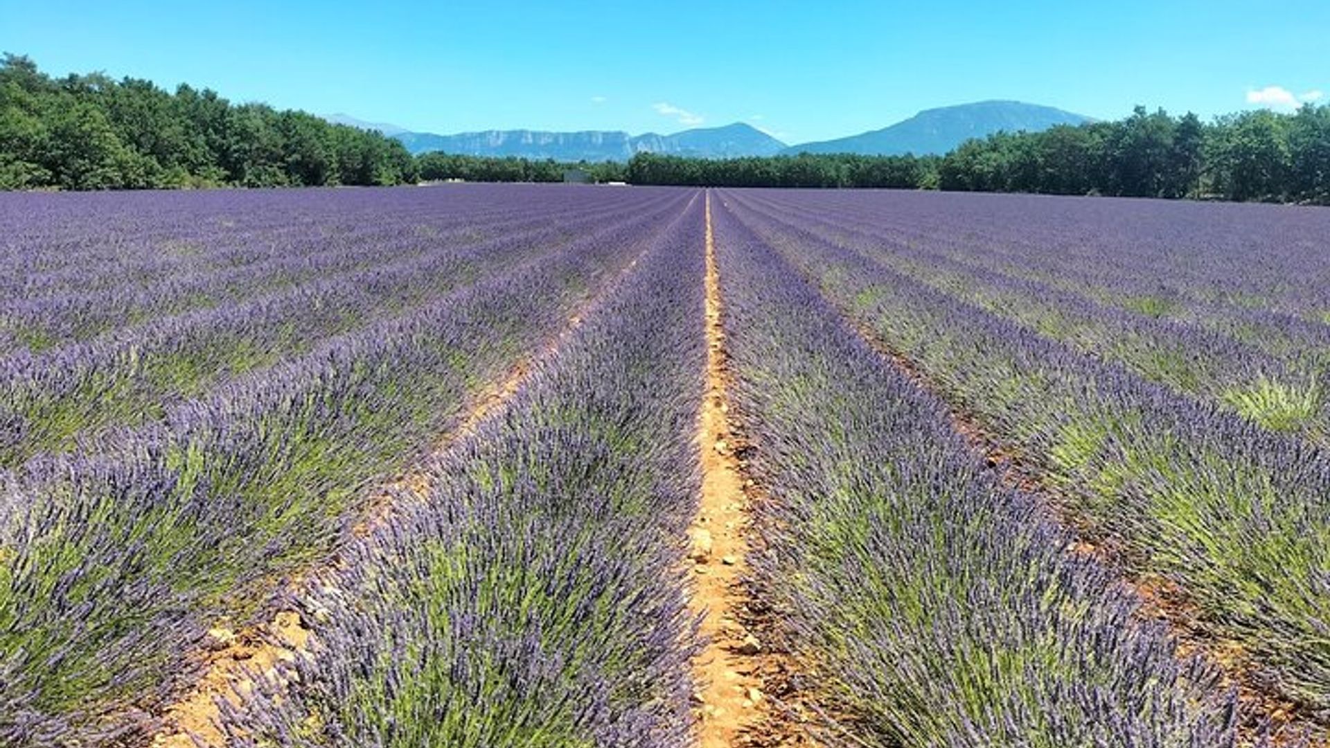 Gorges du Verdon : Lavandas, Cañón Barco Picnic & Pueblos