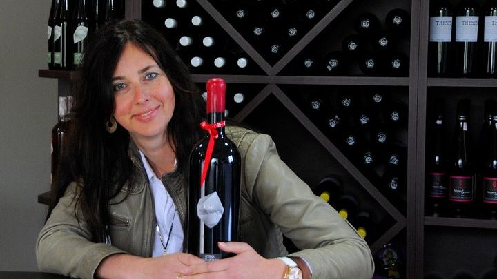 Athens or Nafplion: Nemea Private Full-Day Wine Tasting Tour