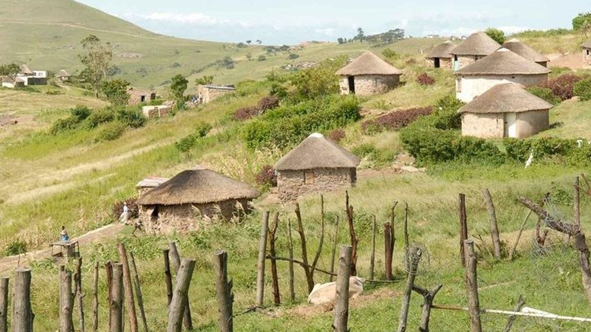 Von Kapstadt nach Durban und zur Garden Route – 7-tägige private Safari