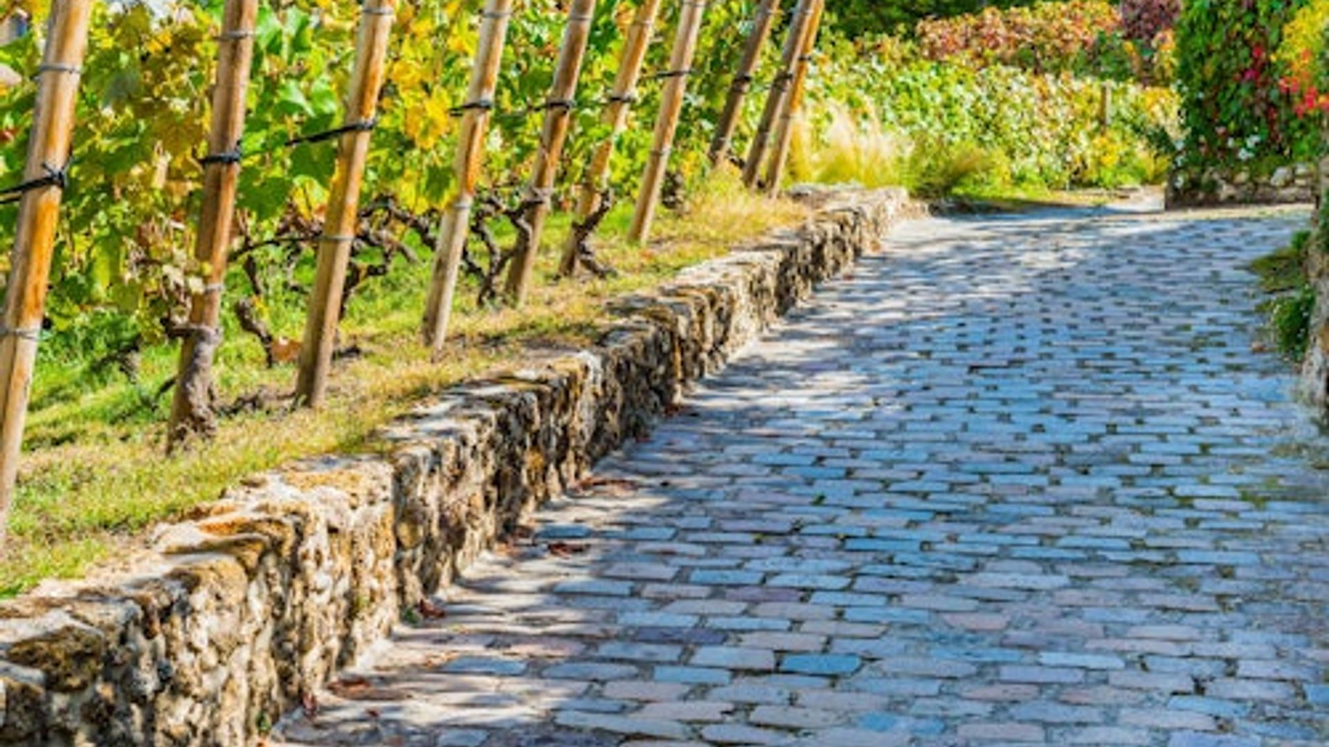 Montmartre y la Catedral del Sagrado Corazón: App con audioguía