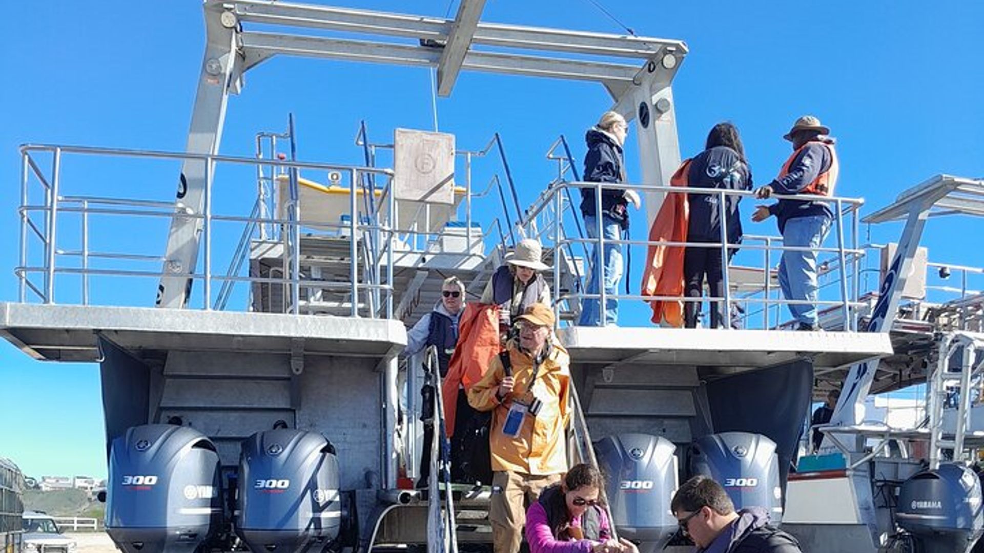 Actividad privada de avistamiento de ballenas guiadas en Ciudad del Cabo