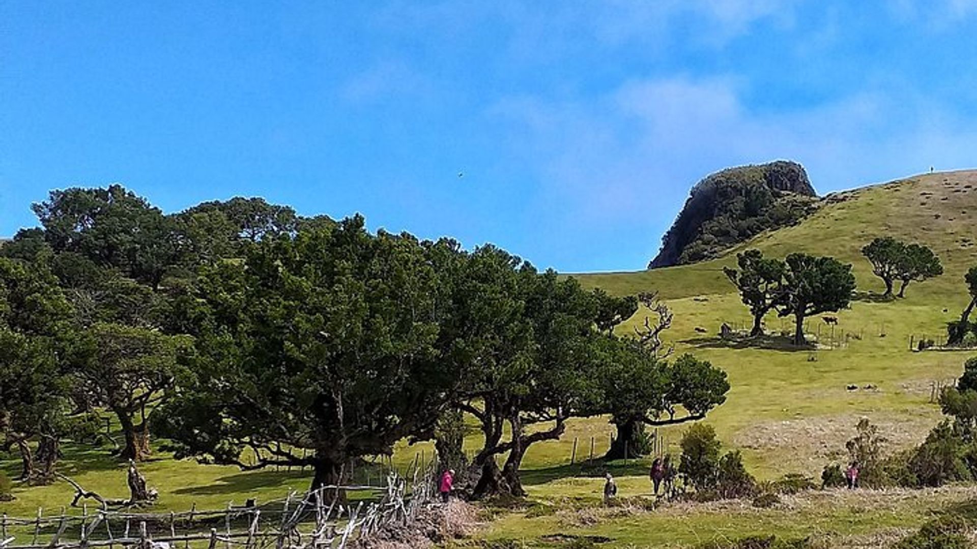Tour de día completo en 4x4 por las terrazas del noroeste y las piscinas