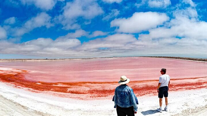 Sandwich Harbour Half-Day 4x4 Tour (5 hours) from Walvis Bay