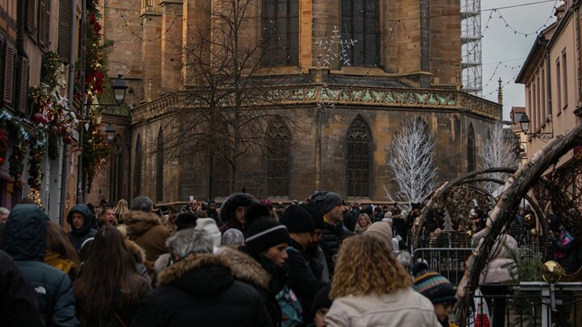 Strasbourg : Excursion partagée à Ht-koenig, Riquewihr et Colmar