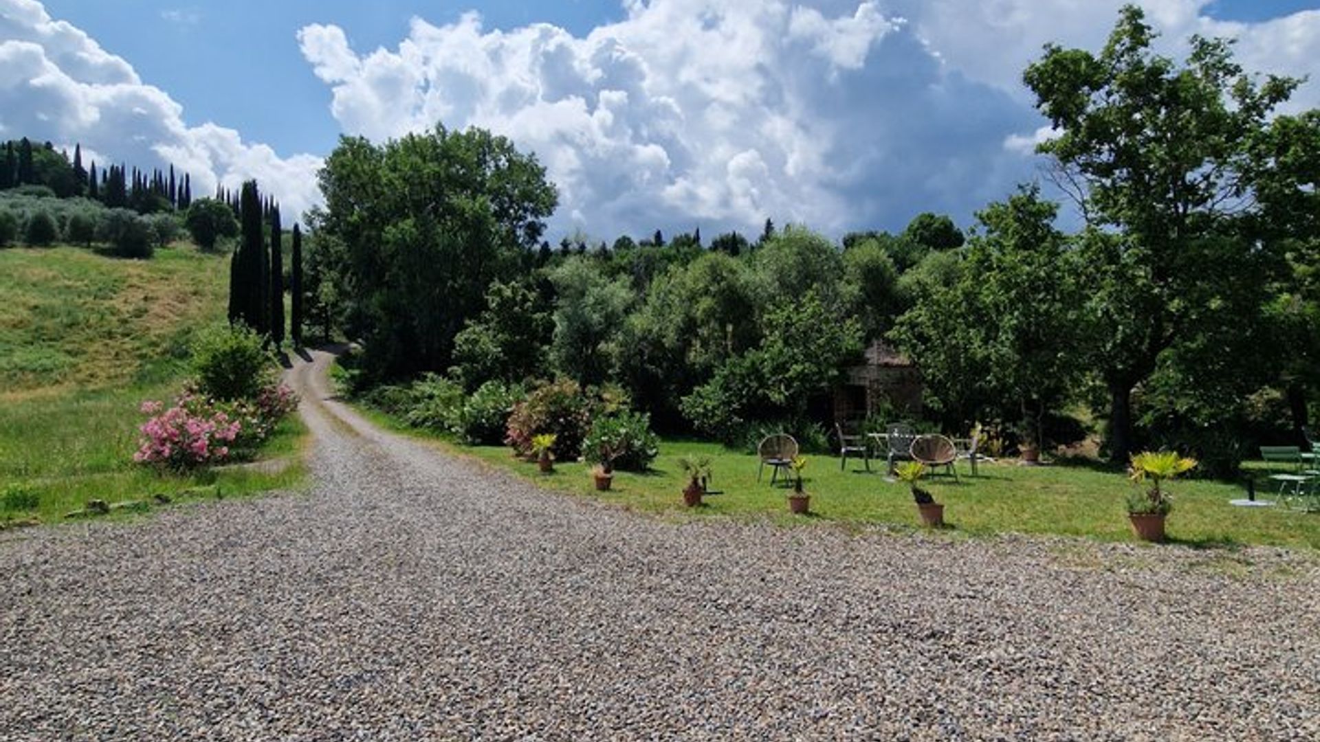 Wine Tasting In A Beautiful Tuscan Villa