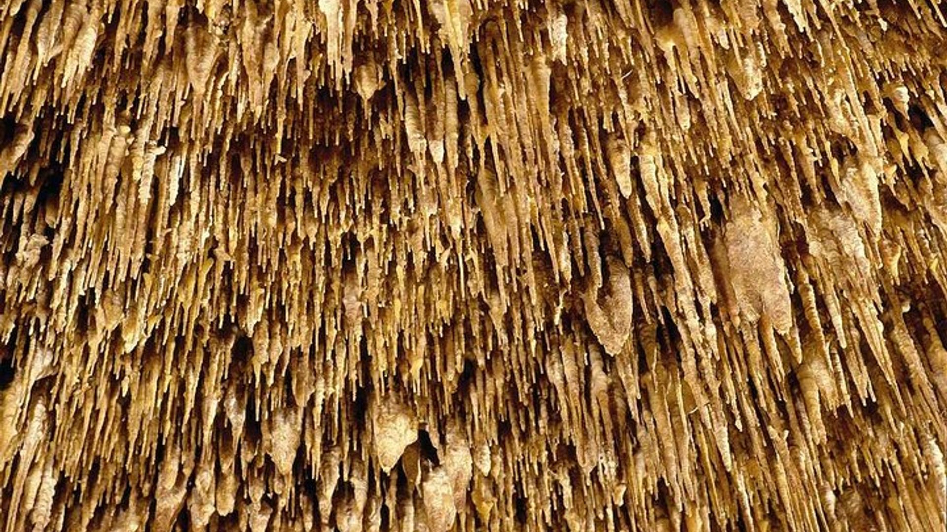 Mallorca Full-Day Drach Caves and Pearl Factory Tour