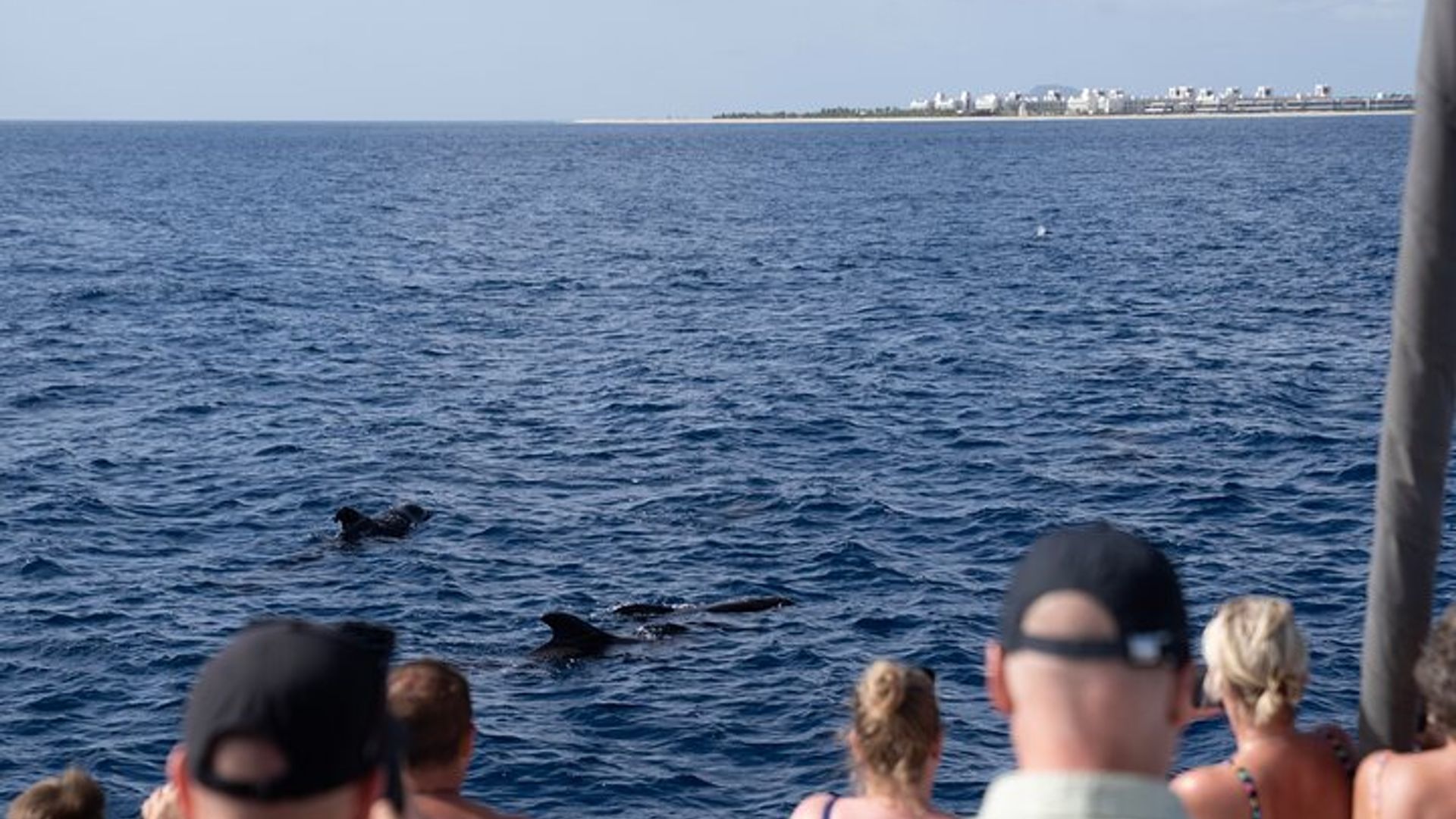 Santa Maria-Katamarantour in kleiner Gruppe