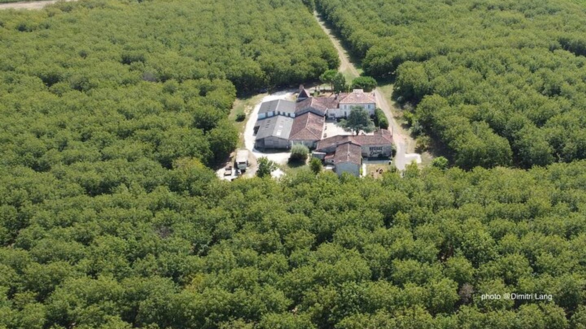 Private, immersive Tour durch den Walnusshain mit Verkostung