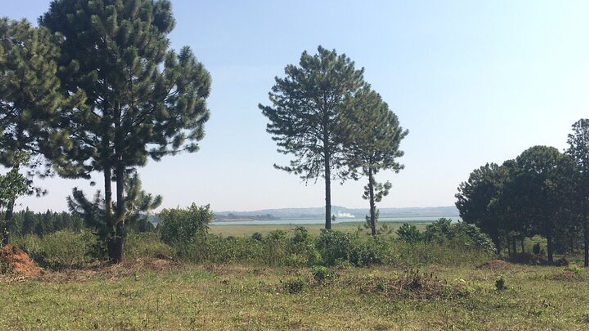 2-Hours village walk and Lake Victoria cruise from Entebbe