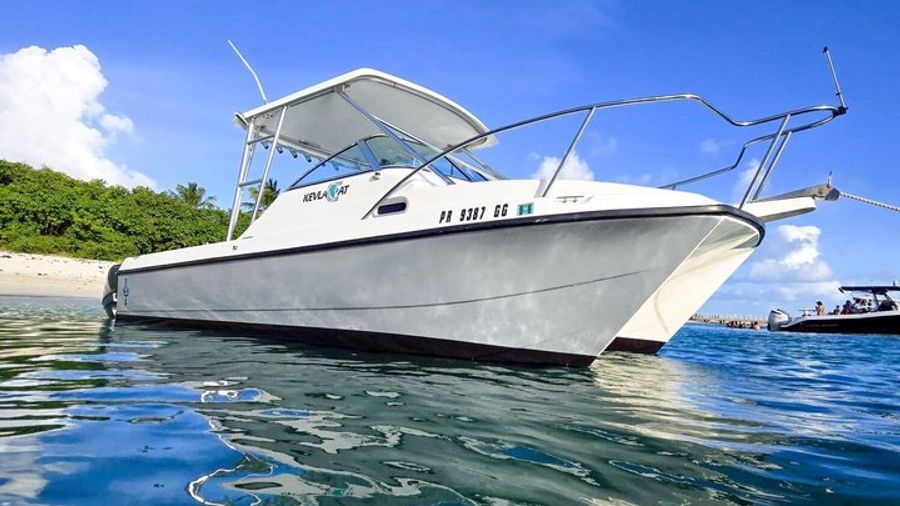 Private All-Inclusive Catamaran 24ft Boat Guided Snorkeling