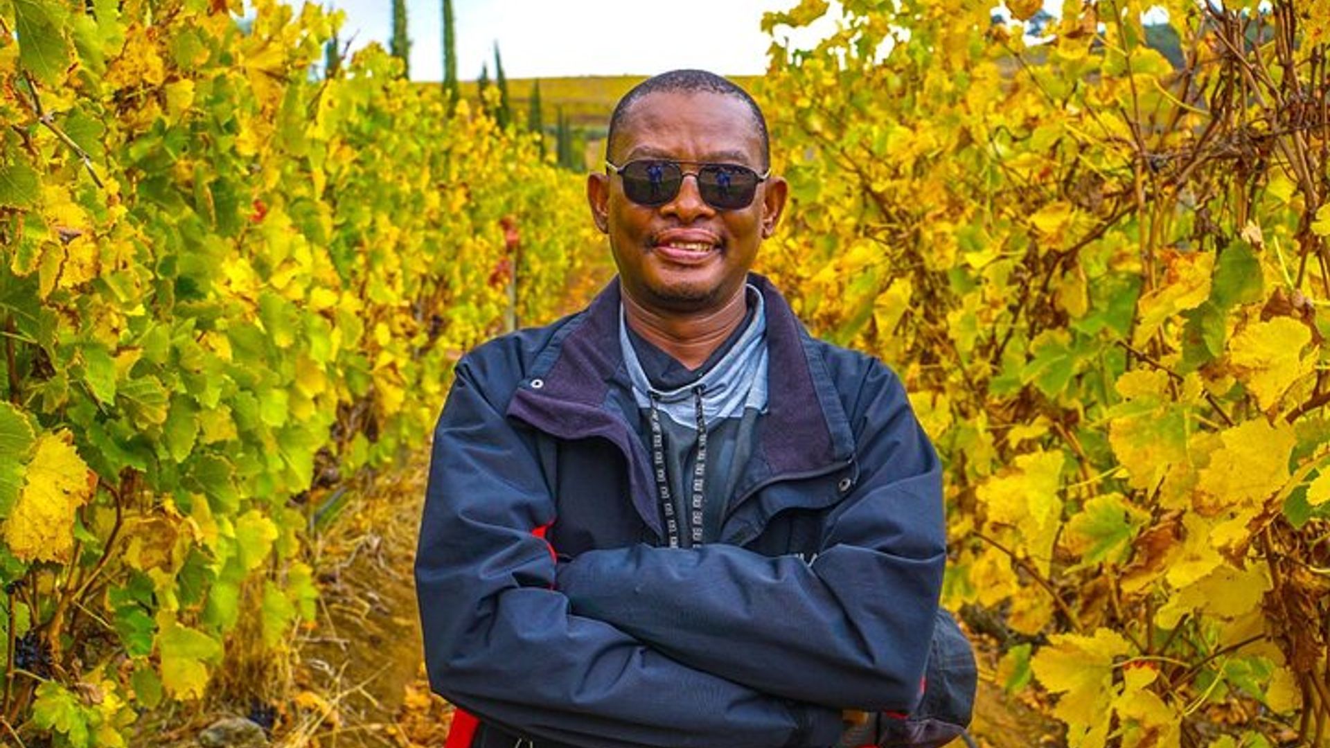 Weinverkostungstour durch Stellenbosch, Franschhoek und Paarl